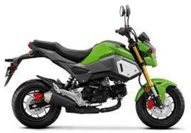 The Green Machine’s Honda Grom